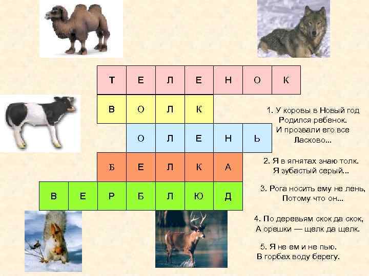 Т Е Л Е В О Л К О Л Е Б В Е