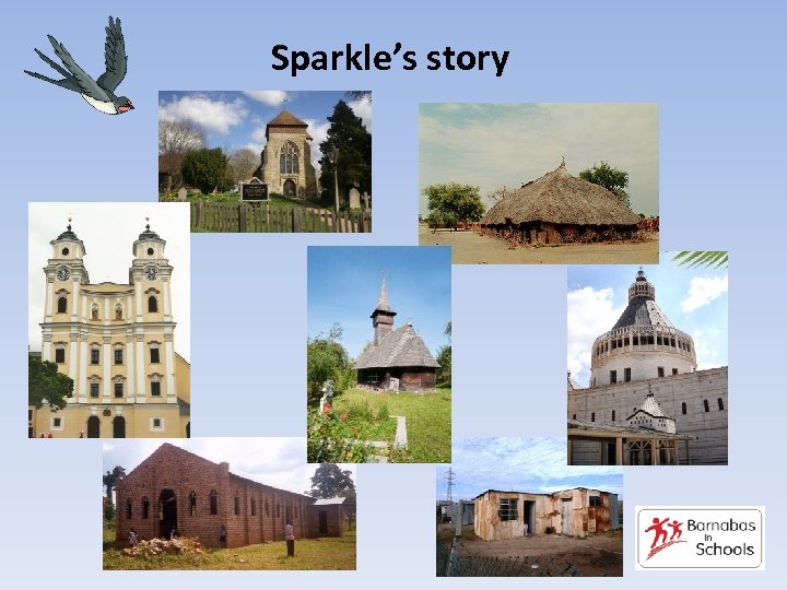 Sparkle’s story 