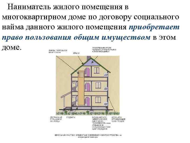 Наниматель жилого помещения в многоквартирном доме по договору социального найма данного жилого помещения приобретает