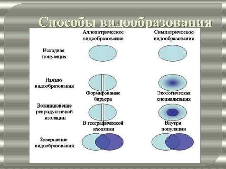 Способы видообразования 