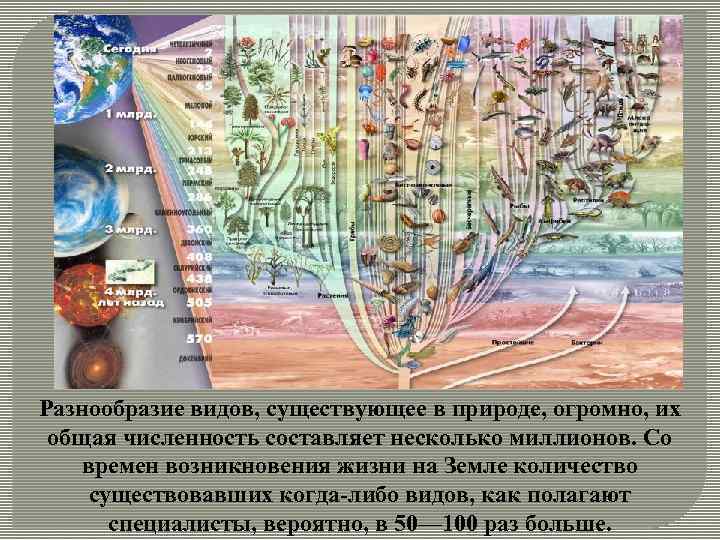 Разнообразие видов, существующее в природе, огромно, их общая численность составляет несколько миллионов. Со времен