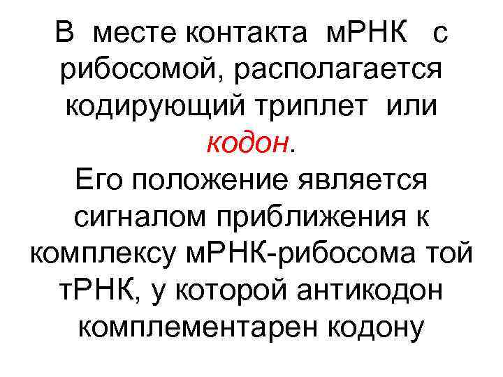 В месте контакта м. РНК с рибосомой, располагается кодирующий триплет или кодон. Его положение