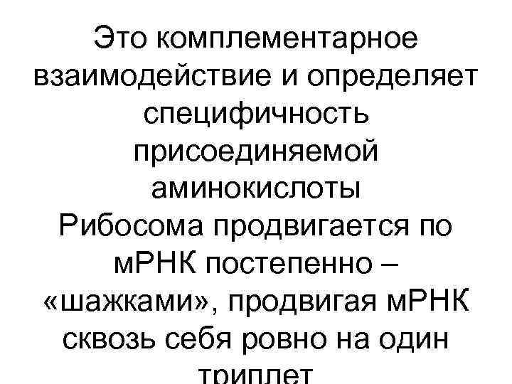 Это комплементарное взаимодействие и определяет специфичность присоединяемой аминокислоты Рибосома продвигается по м. РНК постепенно