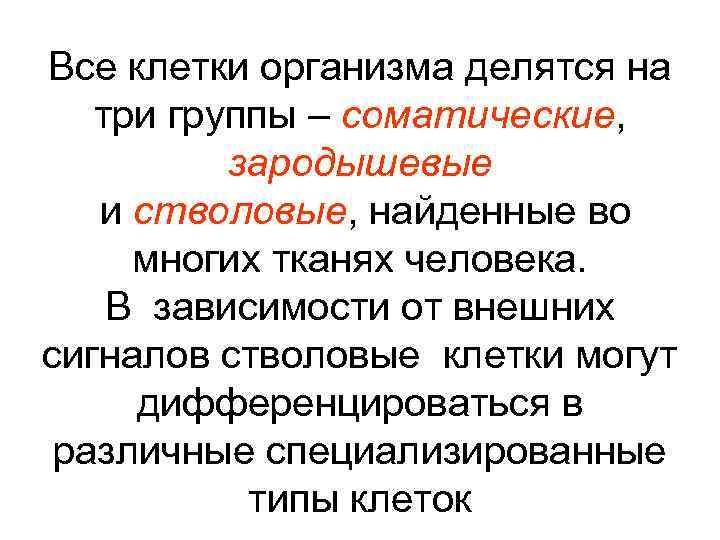 Все клетки организма делятся на три группы – соматические, зародышевые и стволовые, найденные во