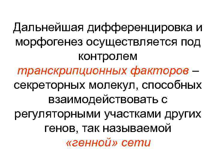 Дальнейшая дифференцировка и морфогенез осуществляется под контролем транскрипционных факторов – секреторных молекул, способных взаимодействовать