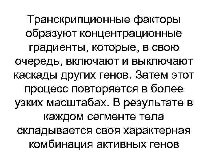 Транскрипционные факторы образуют концентрационные градиенты, которые, в свою очередь, включают и выключают каскады других