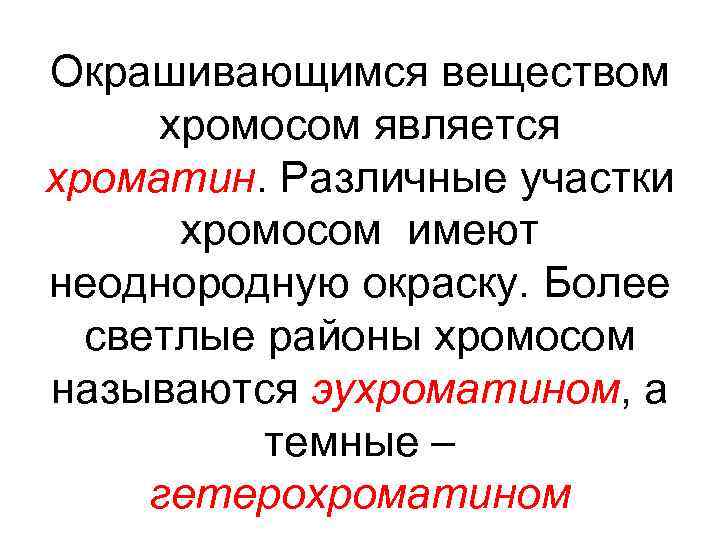 Окрашивающимся веществом хромосом является хроматин. Различные участки хромосом имеют неоднородную окраску. Более светлые районы