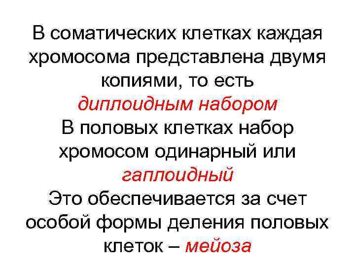 В соматических клетках каждая хромосома представлена двумя копиями, то есть диплоидным набором В половых