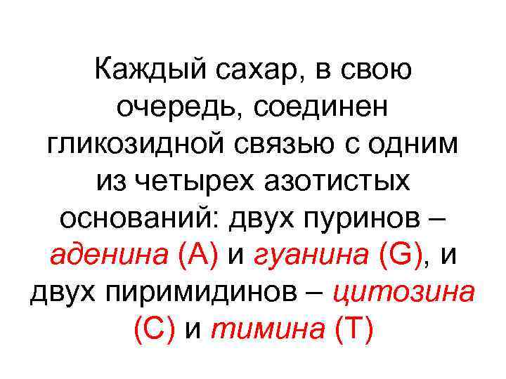 Каждый сахар, в свою очередь, соединен гликозидной связью с одним из четырех азотистых оснований: