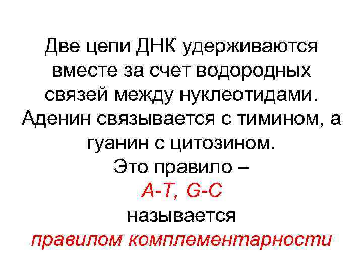 Две цепи ДНК удерживаются вместе за счет водородных связей между нуклеотидами. Аденин связывается с