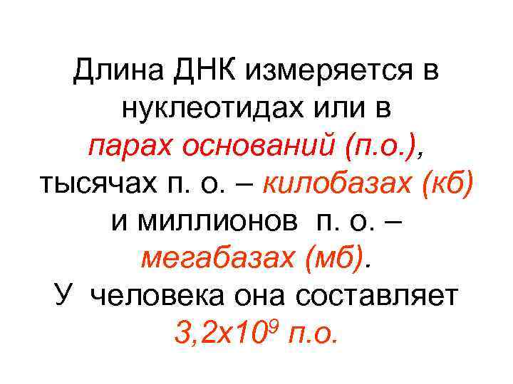 Длина днк. Длина ДНК измеряется в. Протяжённость ДНК. Какова длина ДНК человека. Длина вирусной ДНК измеряется.