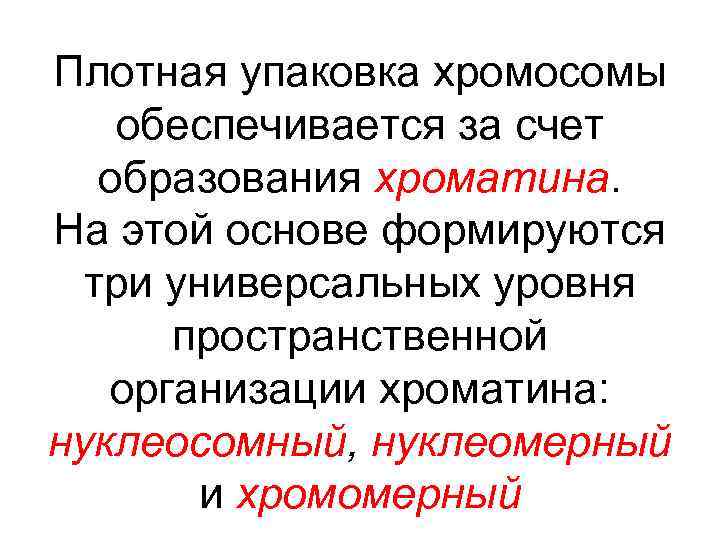 Плотная упаковка хромосомы обеспечивается за счет образования хроматина. На этой основе формируются три универсальных