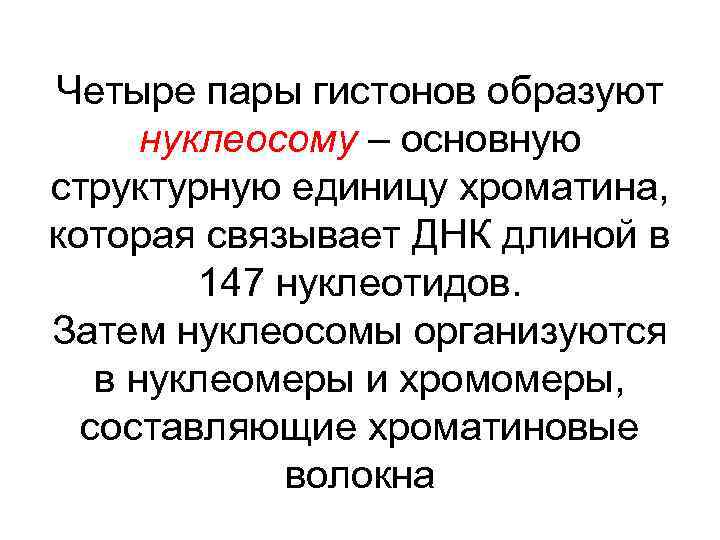 Четыре пары гистонов образуют нуклеосому – основную структурную единицу хроматина, которая связывает ДНК длиной