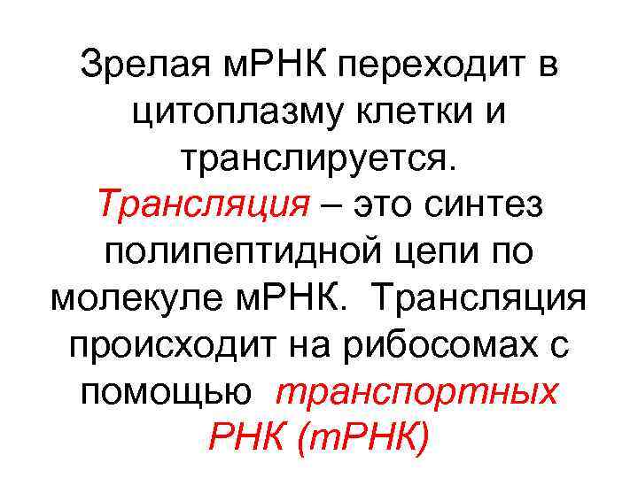 Зрелая м. РНК переходит в цитоплазму клетки и транслируется. Трансляция – это синтез полипептидной