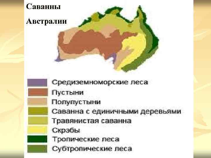 Саванны Австралии 