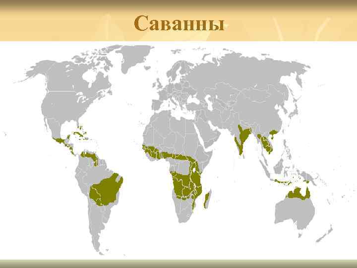 Саванны 