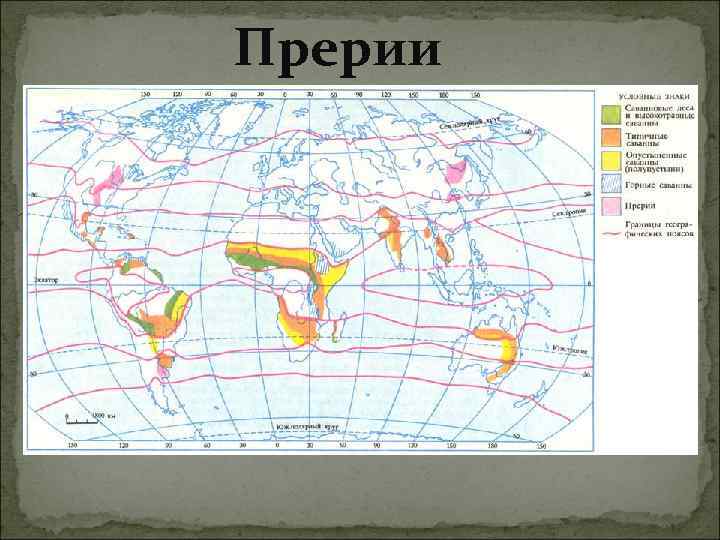 Степи на карте. Прерии на карте.