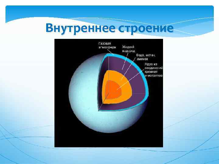 Внутреннее строение 