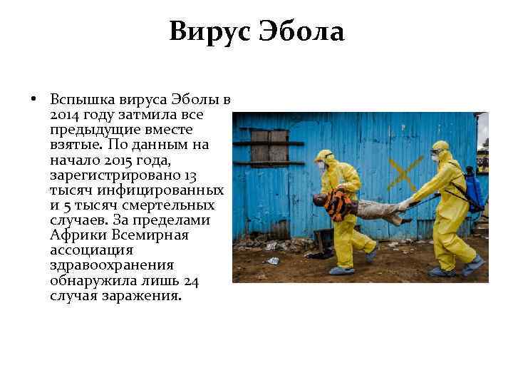 Вирус Эбола • Вспышка вируса Эболы в 2014 году затмила все предыдущие вместе взятые.