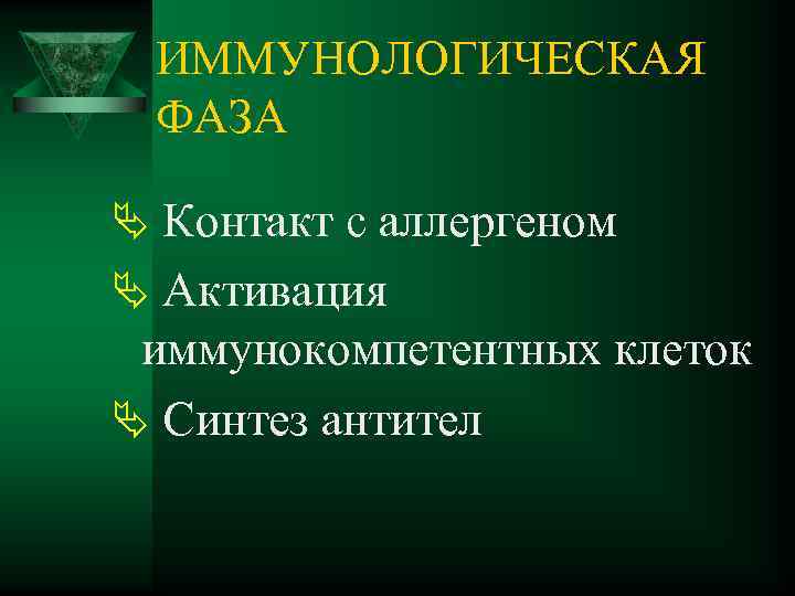 ИММУНОЛОГИЧЕСКАЯ ФАЗА Ä Контакт с аллергеном Ä Активация иммунокомпетентных клеток Ä Синтез антител 