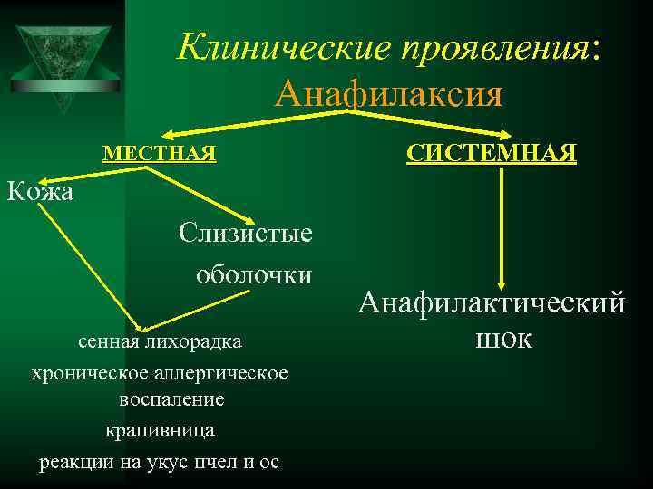 Клинические проявления: Анафилаксия МЕСТНАЯ СИСТЕМНАЯ Кожа Слизистые оболочки сенная лихорадка хроническое аллергическое воспаление крапивница