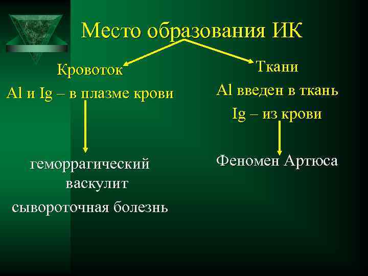 Место образования ИК Кровоток Al и Ig – в плазме крови Ткани Al введен