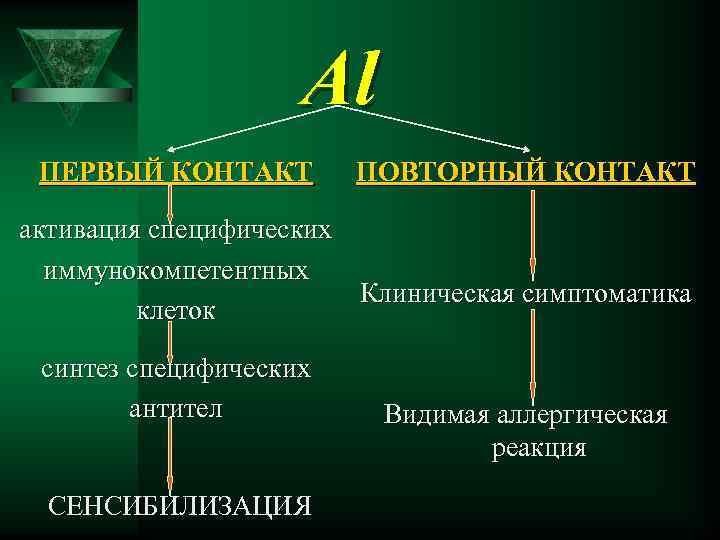 Al ПЕРВЫЙ КОНТАКТ ПОВТОРНЫЙ КОНТАКТ активация специфических иммунокомпетентных Клиническая симптоматика клеток синтез специфических антител