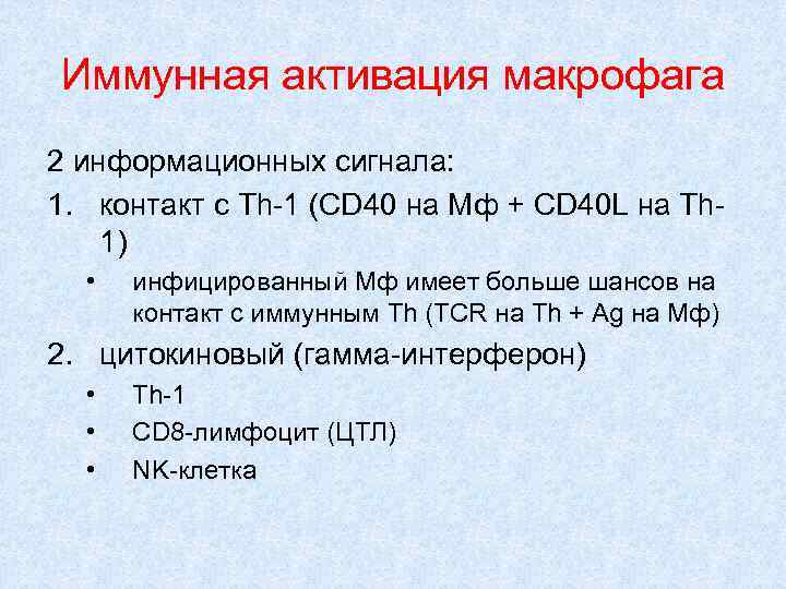 Иммунная активация макрофага 2 информационных сигнала: 1. контакт с Th-1 (CD 40 на Мф