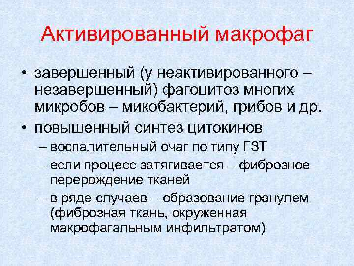 Активированный макрофаг • завершенный (у неактивированного – незавершенный) фагоцитоз многих микробов – микобактерий, грибов