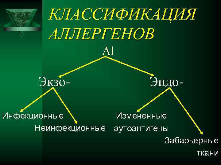 КЛАССИФИКАЦИЯ АЛЛЕРГЕНОВ Al Экзо- Эндо- Измененные Инфекционные Неинфекционные аутоантигены Забарьерные ткани 