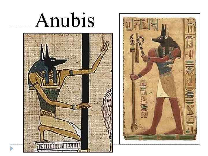 Anubis 