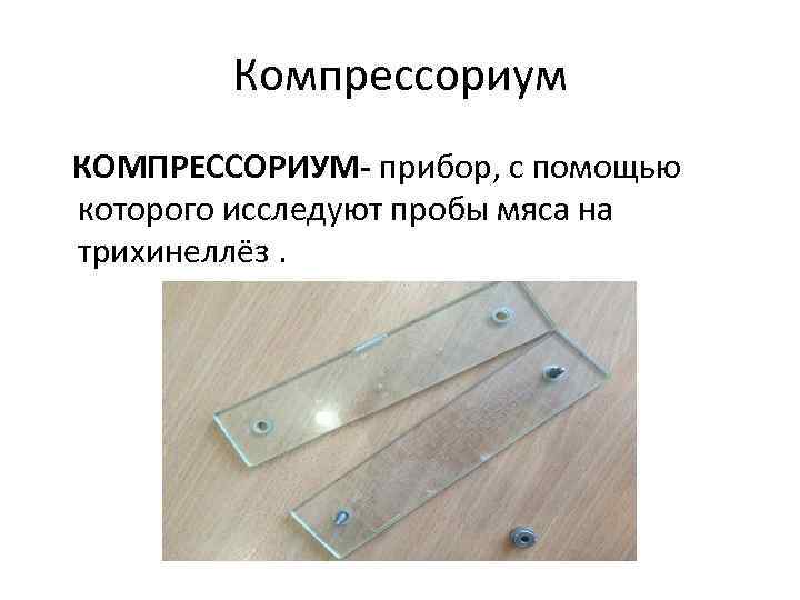 Компрессориум КОМПРЕССОРИУМ- прибор, с помощью которого исследуют пробы мяса на трихинеллёз. 