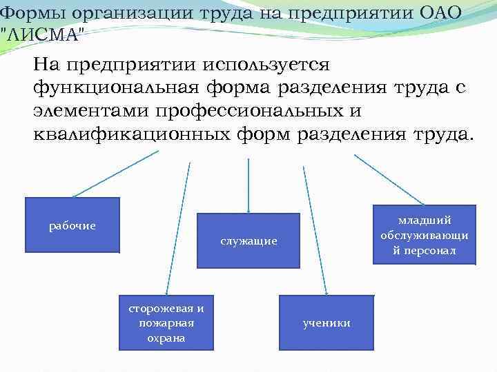 Виды трудовой организации