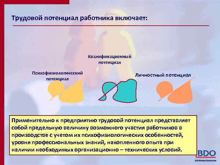 Трудовой потенциал работника включает: Квалификационный потенциал Психофизиологический потенциал Личностный потенциал Применительно к предприятию трудовой