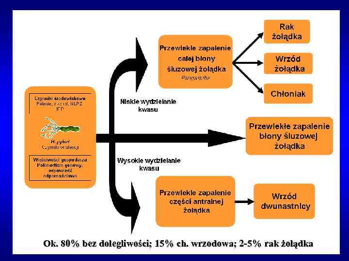 Ok. 80% bez dolegliwości; 15% ch. wrzodowa; 2 -5% rak żołądka 