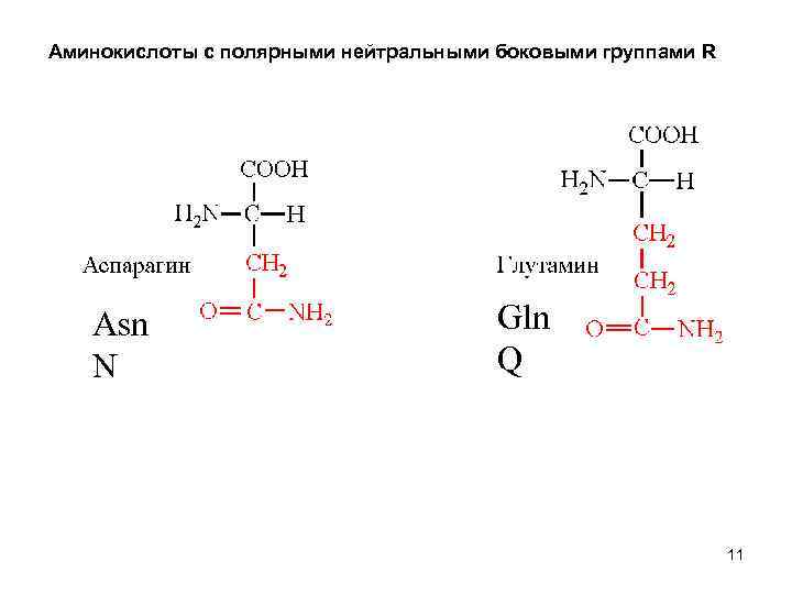 Асп сколько. АСН аминокислота формула. ГЛН это биохимия аминокислота. АСН ГЛН аминокислоты. ГЛН биохимия формула.