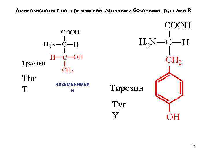 Аминокислоты москва. Thr аминокислота формула. Треонин аминокислота формула. Тирозин Полярная аминокислота. Формулы аминокислот биохимия.