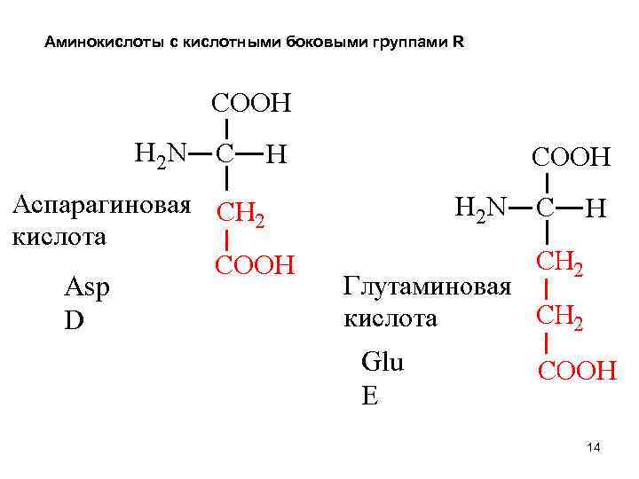 Аминокислоты с кислотными боковыми группами R Asp D Glu E 14 