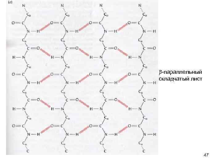 b-параллельный складчатый лист 47 
