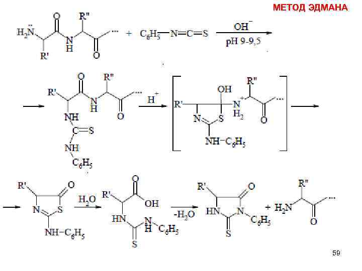 МЕТОД ЭДМАНА 59 