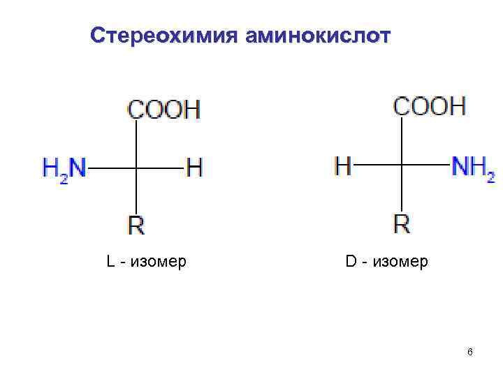 Аминокислоты биохимия презентация