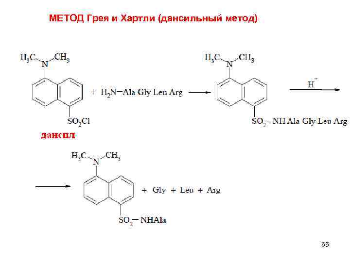 МЕТОД Грея и Хартли (дансильный метод) 65 