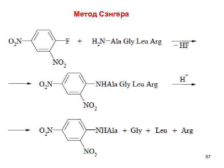 Метод Сэнгера 67 