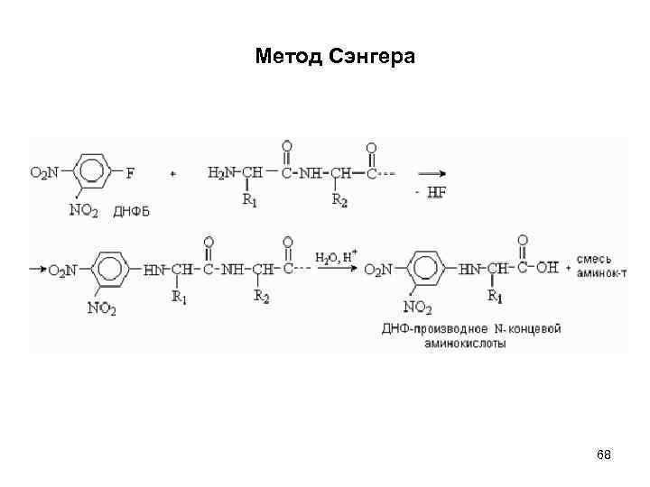 Метод Сэнгера 68 