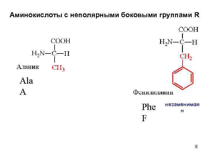 Аминокислоты с неполярными боковыми группами R Ala A Phe F незаменимая н 8 