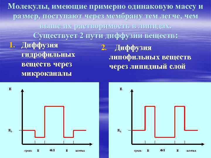 Молекулы, имеющие примерно одинаковую массу и размер, поступают через мембрану тем легче, чем выше