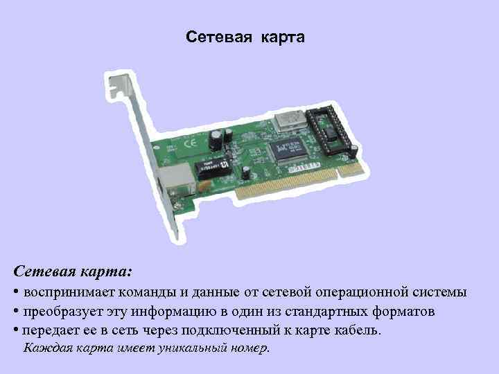 Сетевая карта: • воспринимает команды и данные от сетевой операционной системы • преобразует эту