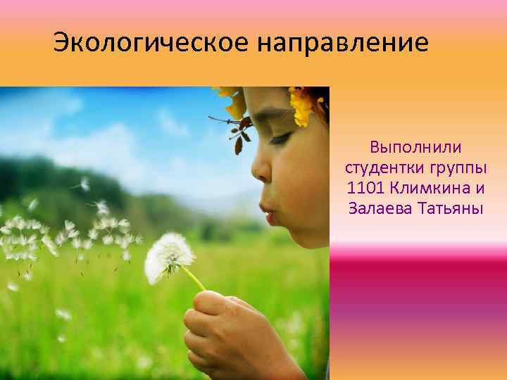 Экологическое направление Выполнили студентки группы 1101 Климкина и Залаева Татьяны 