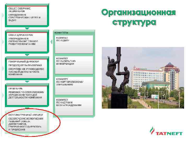 Организационная структура 