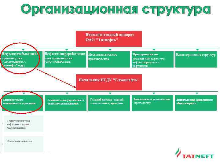 Как заполняется поле структурное подразделение в регистрационной карточке на компьютере